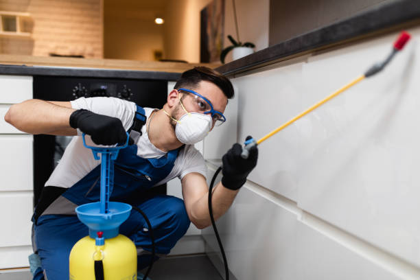 Best Best Pest Control Companies  in Greenbriar, VA