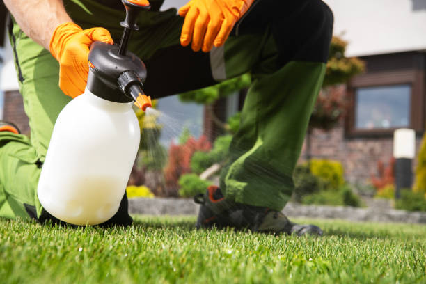 Best Wildlife Control Services  in Greenbriar, VA