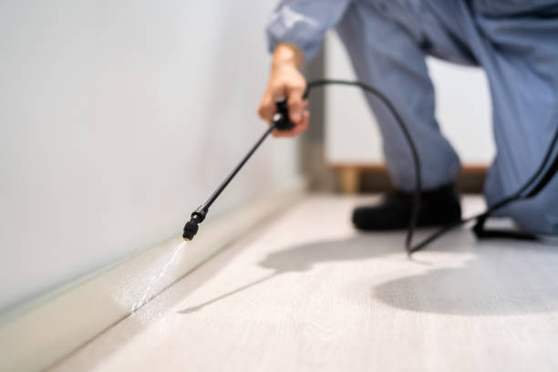 Pest Control Cost in Greenbriar, VA
