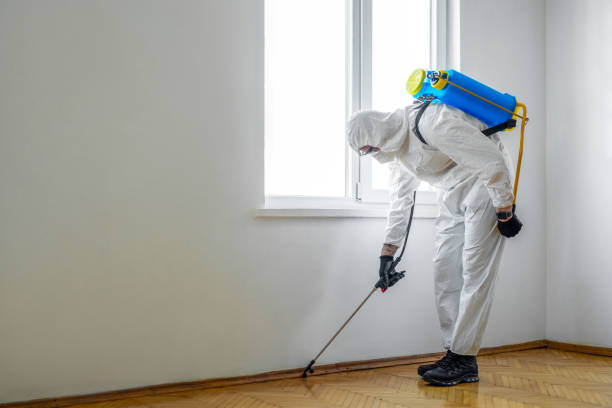 Wasp Removal Services in Greenbriar, VA
