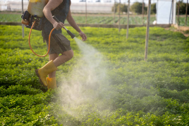 Professional Pest Control in Greenbriar, VA