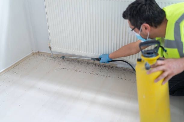 Best Wasp Removal Services  in Greenbriar, VA